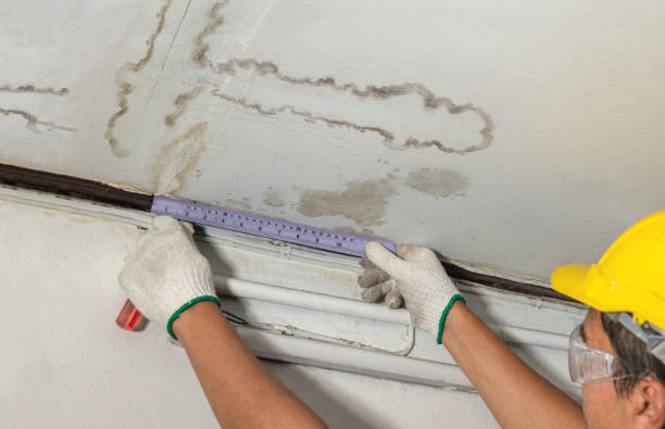Reliable Mold Remediation contractor in Itasca, TX by Water Damage Irwin
